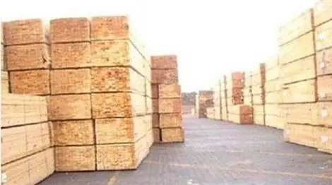 抚州国内外木材市场新动态：刚果布大量锯木厂停滞…